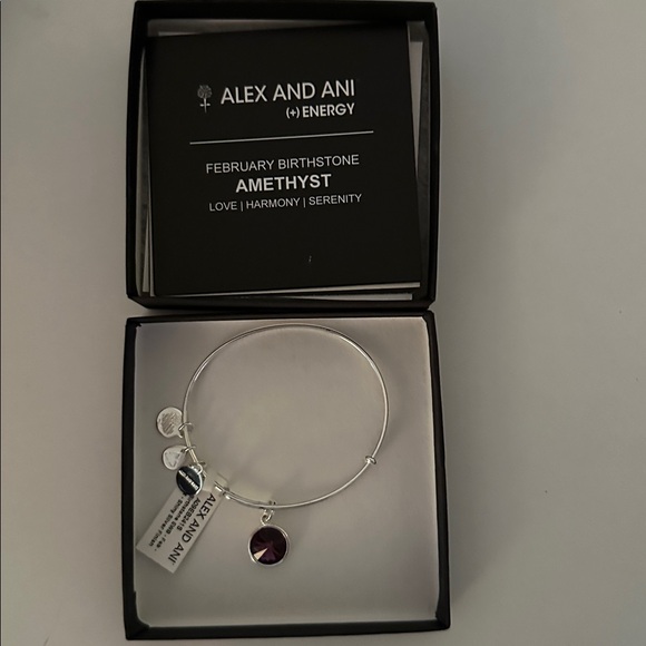 Alex and Ani sterling silver birthstone bangle charm bracelet February - Picture 2 of 4